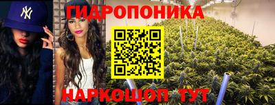 ALPHA PVP Мирный