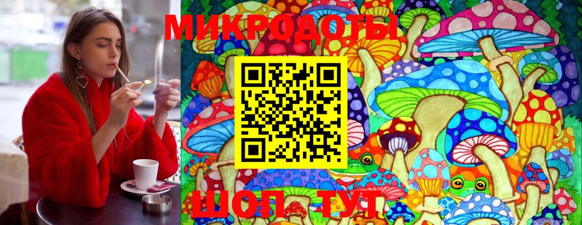 Псилоцибиновые грибы Psilocybe Грязи